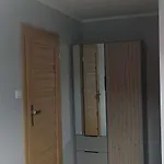 Goscinne Sloneczny Klon