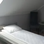 Goscinne Sloneczny Klon *