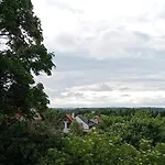 Goscinne Sloneczny Klon *