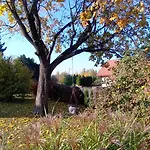 Séjour à la campagne Goscinne Sloneczny Klon *