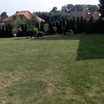 Goscinne Sloneczny Klon *