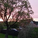 Goscinne Sloneczny Klon * Dąbrówno