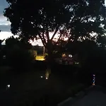 Goscinne Sloneczny Klon *