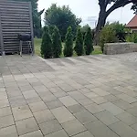 Goscinne Sloneczny Klon