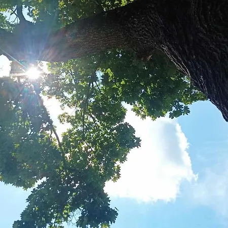Goscinne Sloneczny Klon Casa di campagna Dąbrówno