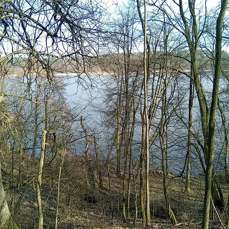Goscinne Sloneczny Klon