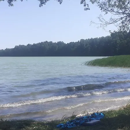 Goscinne Sloneczny Klon *