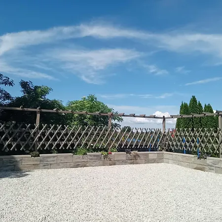Goscinne Sloneczny Klon *