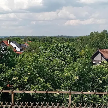 Gościnne Słoneczny Klon *