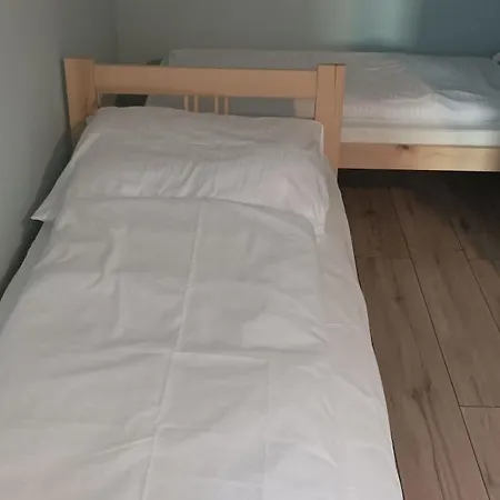 Goscinne Sloneczny Klon *