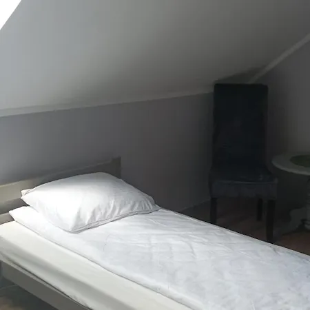Goscinne Sloneczny Klon *