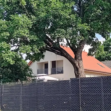 Landhuis Goscinne Sloneczny Klon