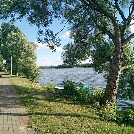 Goscinne Sloneczny Klon
