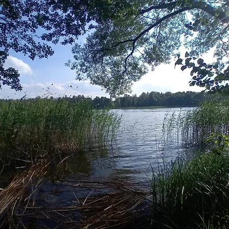 Goscinne Sloneczny Klon * Dabrowno (Ostroda)