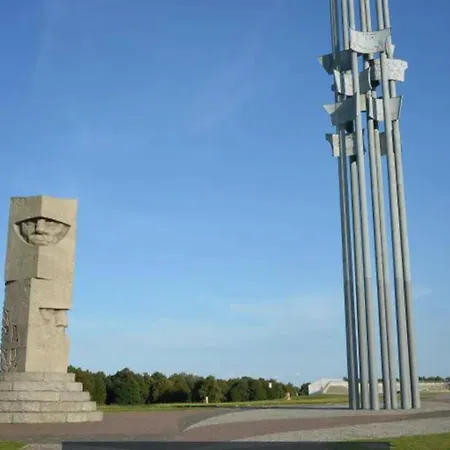 Goscinne Sloneczny Klon