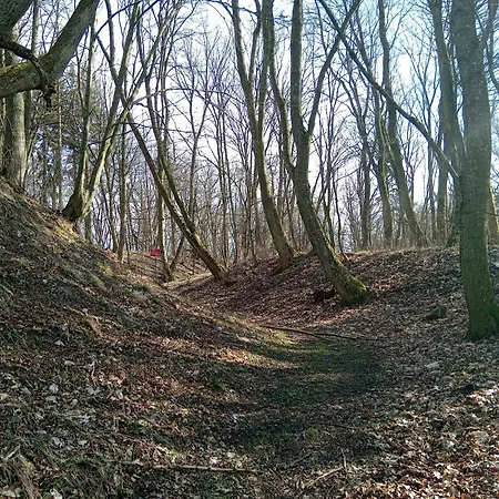 Goscinne Sloneczny Klon * Dabrowno (Ostroda)