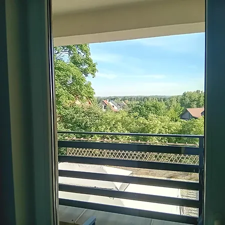 Goscinne Sloneczny Klon Dąbrówno