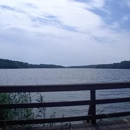 Goscinne Sloneczny Klon