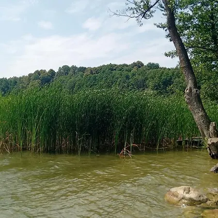Casa di campagna Goscinne Sloneczny Klon *
