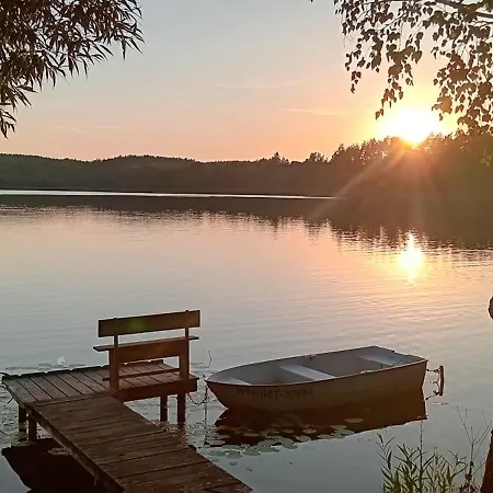 Goscinne Sloneczny Klon