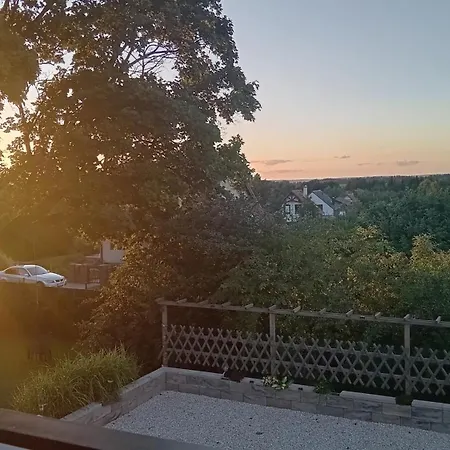 Goscinne Sloneczny Klon