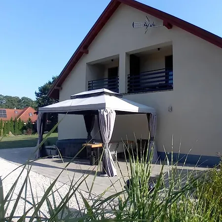Goscinne Sloneczny Klon