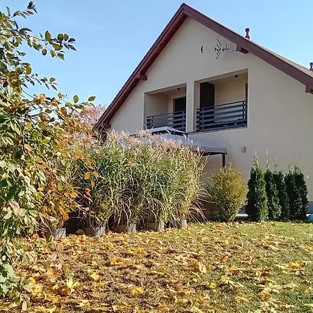 Goscinne Sloneczny Klon Dąbrówno