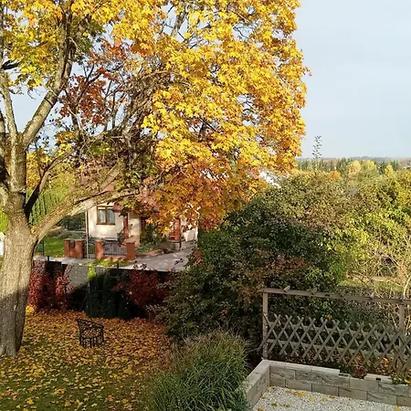 Gościnne Słoneczny Klon