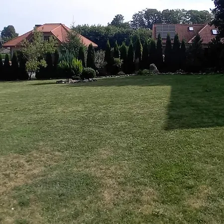 Gościnne Słoneczny Klon *