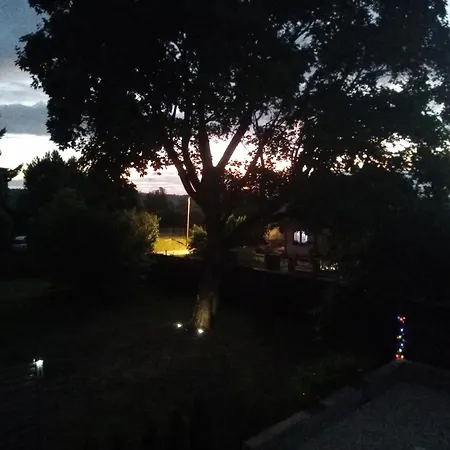 Gościnne Słoneczny Klon *