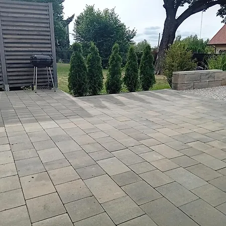 Goscinne Sloneczny Klon